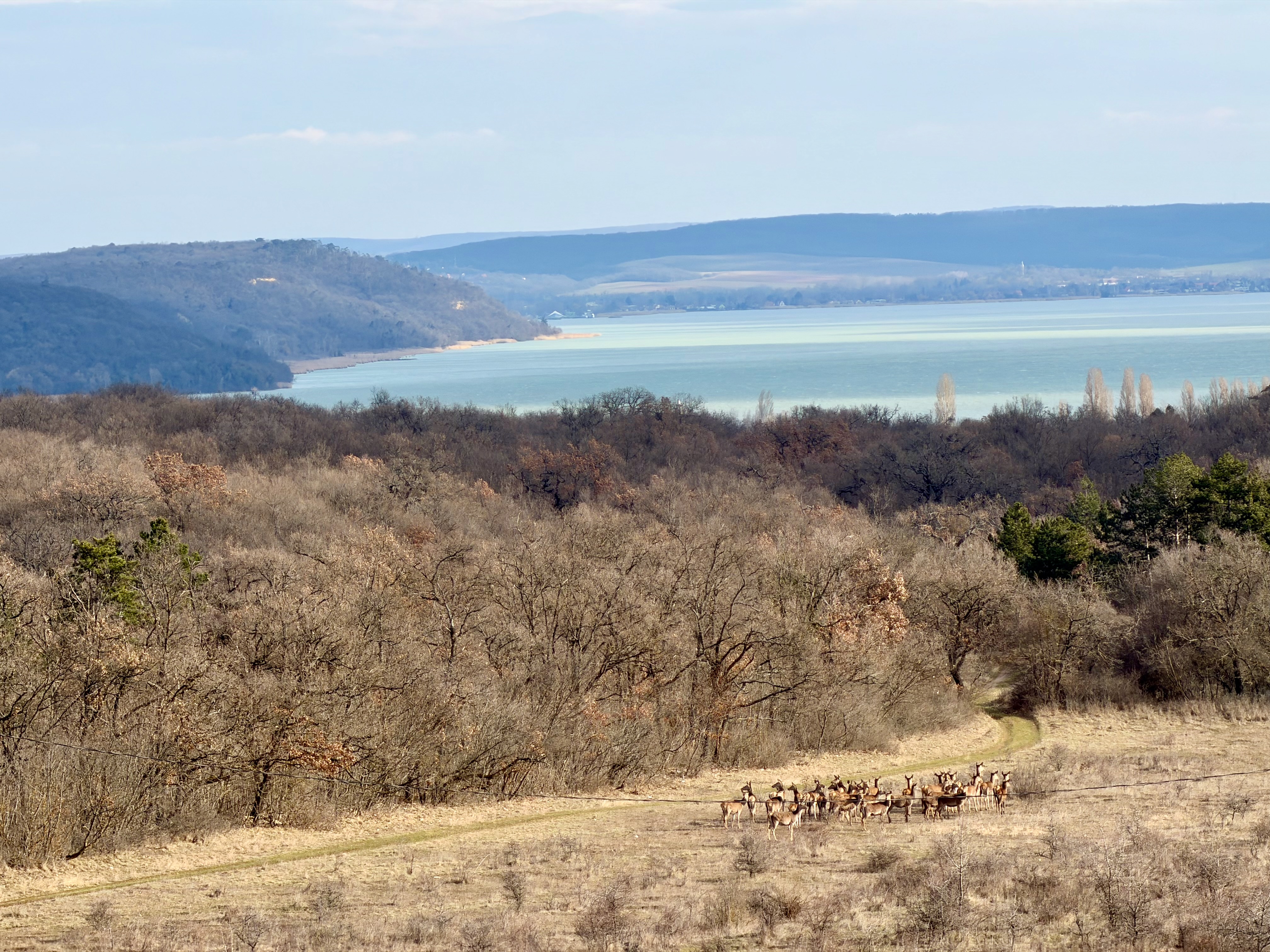 Panoráma fotó kilátás